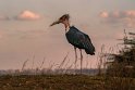 009 Nairobi Nationaal Park